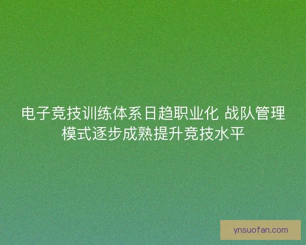 电子竞技训练体系日趋职业化 战队管理模式逐步成熟提升竞技水平 电子竞技训练体系日趋职业化 战队管理模式逐步成熟提升竞技水平