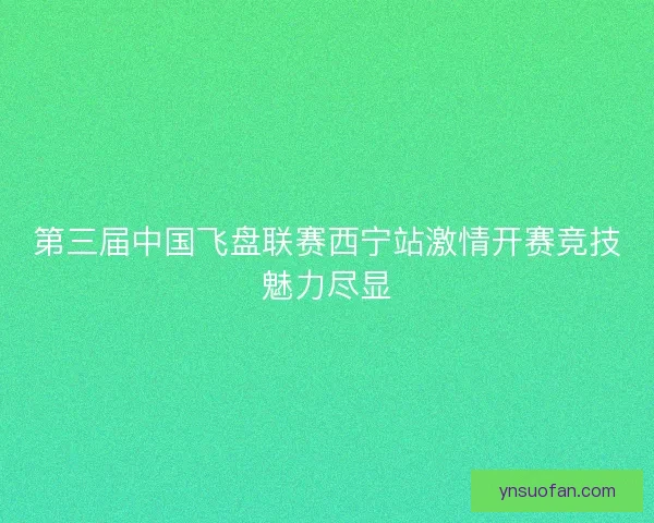 第三届中国飞盘联赛西宁站激情开赛竞技魅力尽显